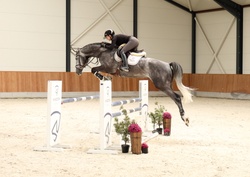 Dundee Oldenburg Jumper photo 2