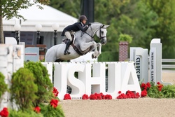 Platinum Oldenburg Hunter photo 3