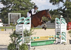 Lui Hanoverian Jumper photo 9