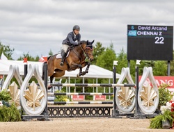Chennai Z Warmblood Jumper photo 4