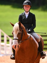 Loafer’s Lodge BowTie Welsh Pony Hunter photo 3