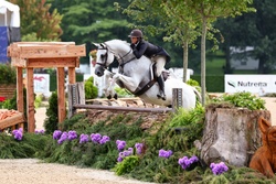 Platinum Oldenburg Hunter photo 2