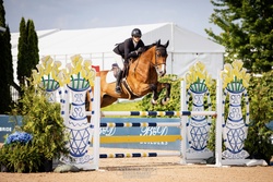 Rocsegreto aka “Greg" Oldenburg Jumper photo 4