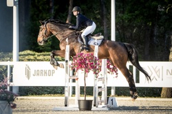 Charlie Holsteiner Jumper photo 1