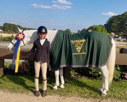 Texas Moonshine Welsh Pony Hunter photo 3