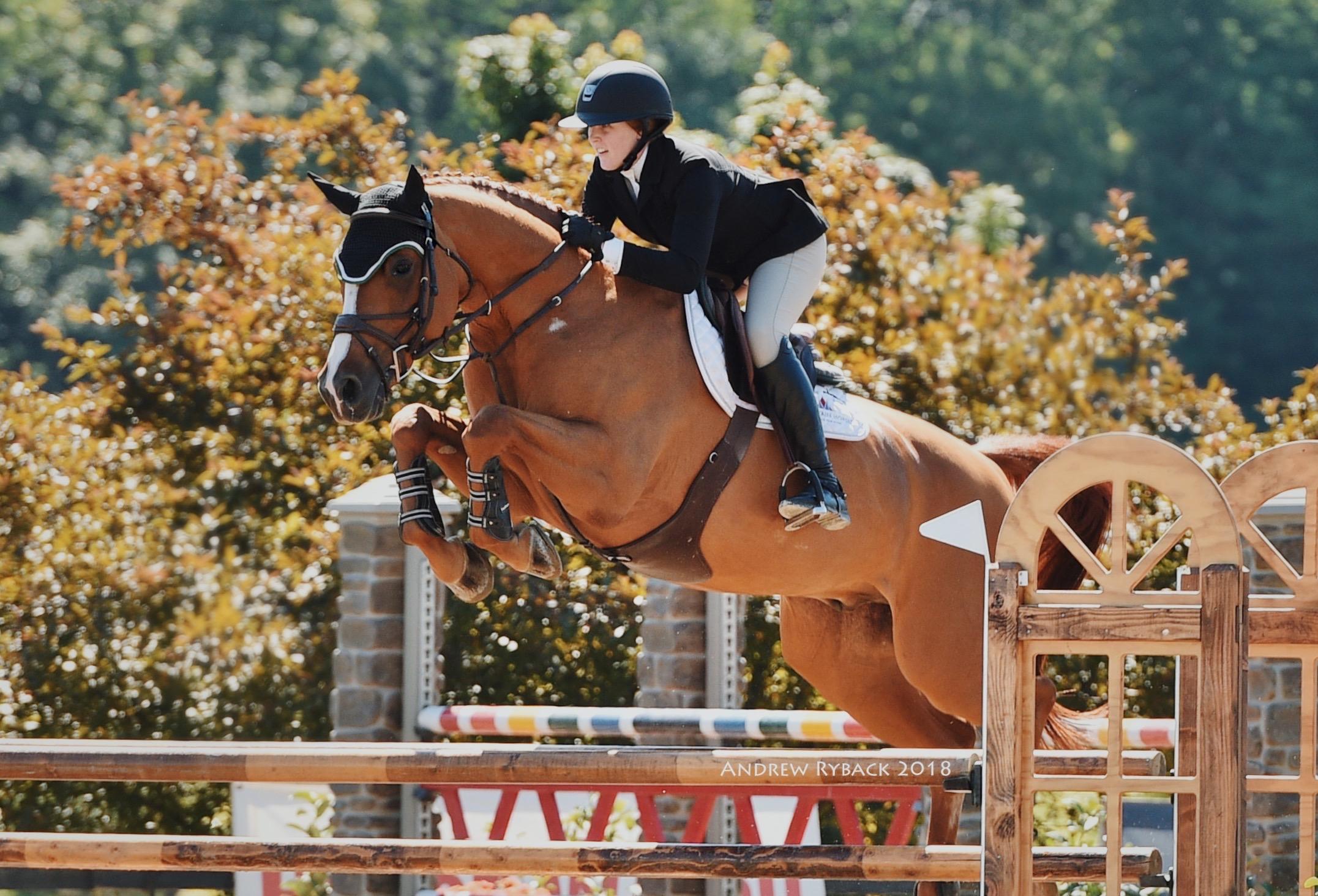 Airbrush Oldenburg Jumper