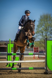 Charlie Holsteiner Jumper photo 3