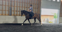 Novella Oldenburg Hunter photo 1