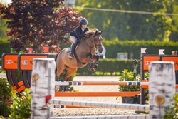 Lilly DL Canadian Warmblood Jumper photo 1