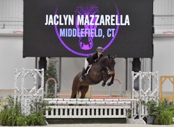 Chicago-HS Czech Warmblood Hunter photo 5