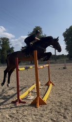 Charlie Holsteiner Jumper photo 8