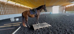 Novella Oldenburg Hunter photo 3