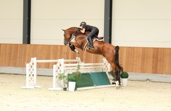 Maclay Finals Oldenburg Jumper photo 4
