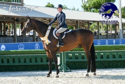 Piglet Hanoverian Hunter photo 1