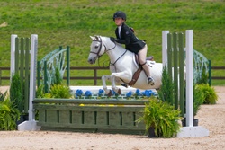 Cross Creek White Water Welsh Pony Hunter photo 7