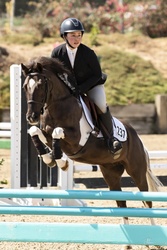 Naponyon Chincoteague Jumper photo 3