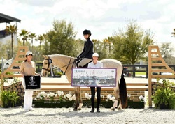 Stateside TM Holsteiner Hunter photo 3