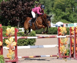 KAYTHLIN Warmblood Jumper photo 3