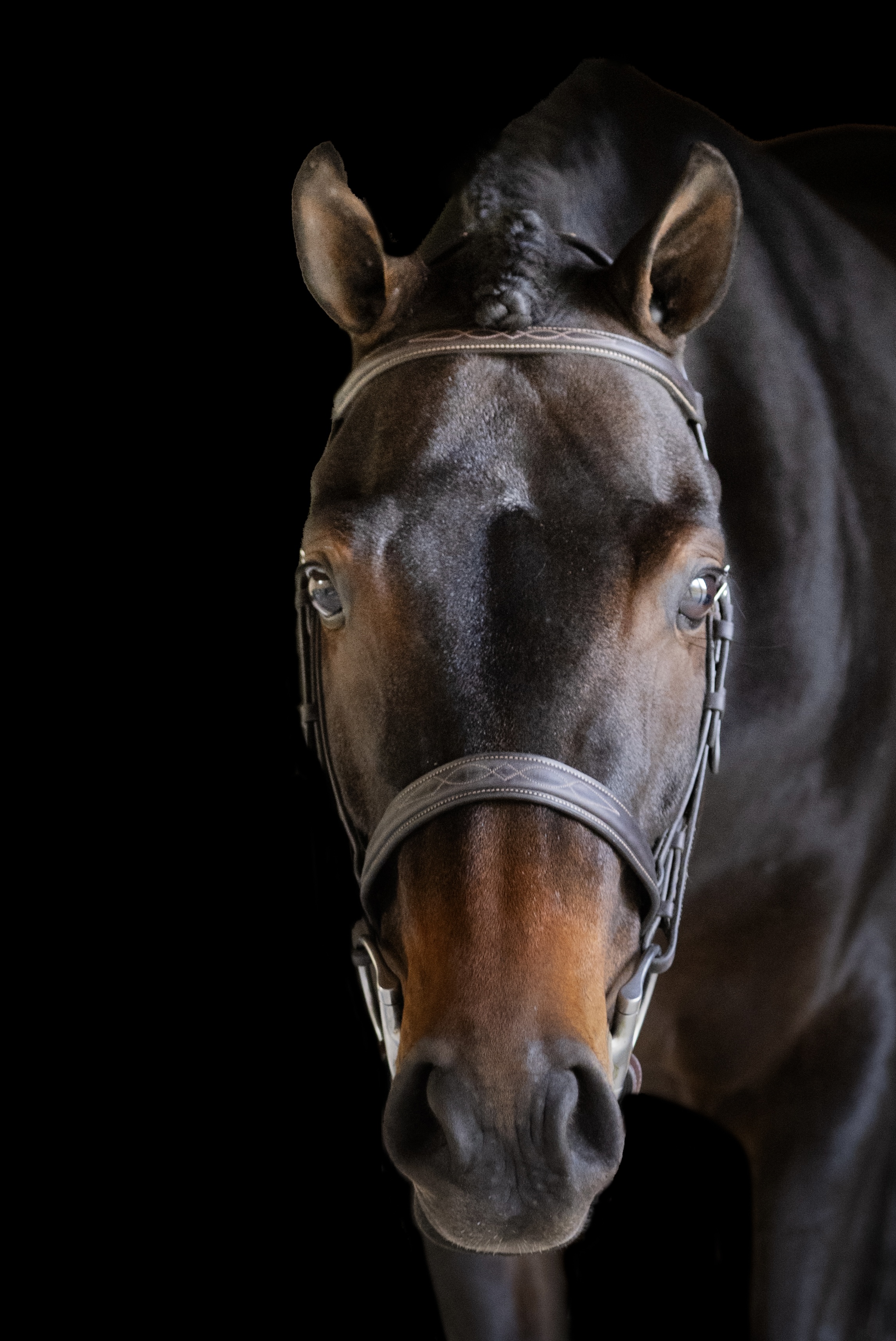 Woodberry’s As You Wish