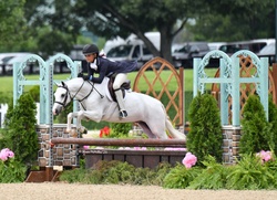 Boca's Stars Go Blue Warmblood Cross Hunter photo 6