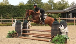 Sergio Crossbred Hunter photo 2