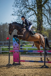 Charlie Holsteiner Jumper photo 2