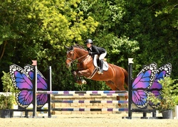 Leilani PW Holsteiner Jumper photo 1