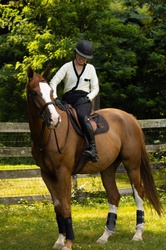 Something Phenomenal Hanoverian Hunter photo 2