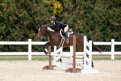 Lottie Paint Hunter photo 1