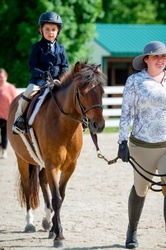 Ferrero Rocher Welsh Cross Hunter photo 8