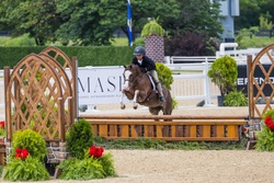 Cane Creek's Oopsie Daisy Welsh Cross Hunter photo 7