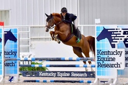 Chasity Van Blu Z Zangersheide Jumper photo 1