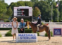 Glamour Girl Welsh Pony Hunter photo 3