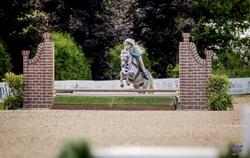 Stoneleigh Welsh Cross Hunter photo 7