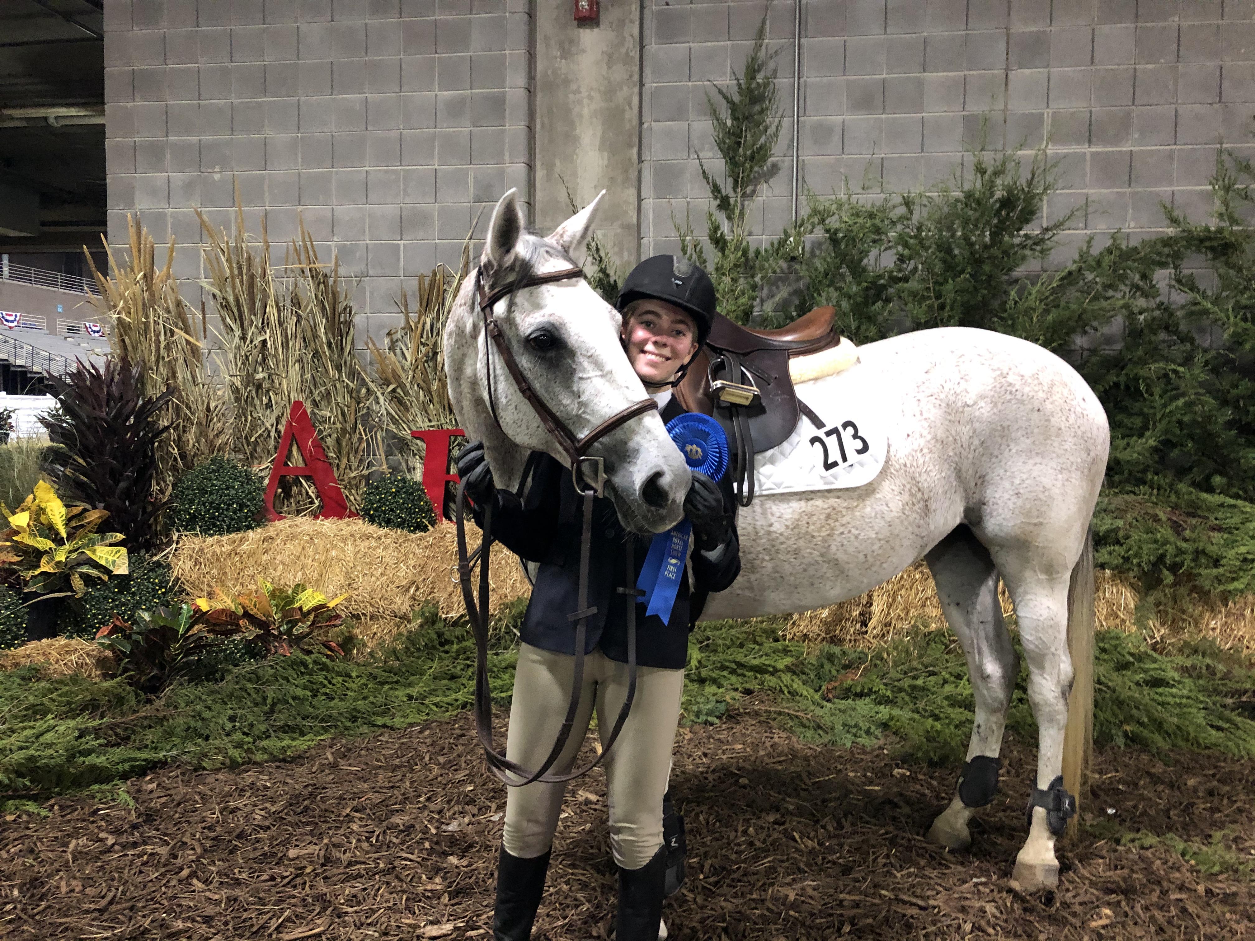 Moonguard Hawkins Quarter Horse Jumper