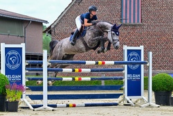 Cayenne Blue vd 3 Leien Z Zangersheide Jumper photo 2