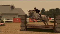 Bianca Westphalian Hunter photo 2