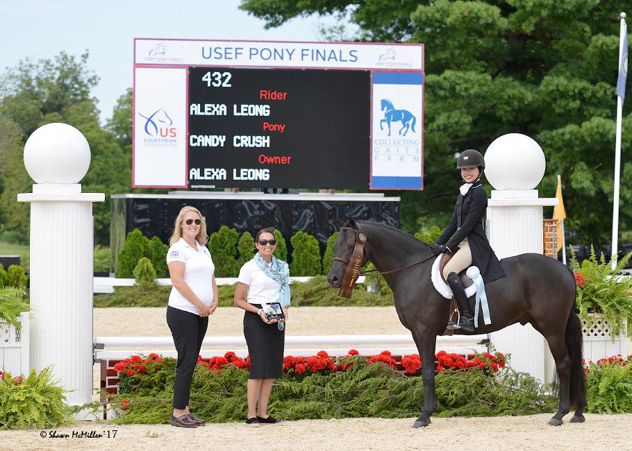 Candy CrushQualified! German Riding Pony Hunter