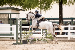 Cloud 9 TB Hunter photo 5