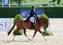 Lovestruck Welsh Pony Hunter photo 1