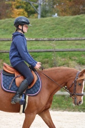 Iseut de Blonde Other Breed Jumper photo 3