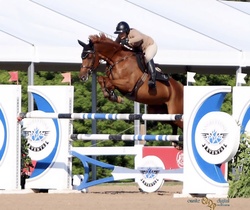 KAYTHLIN Warmblood Jumper photo 2