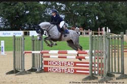 Chicaro S Warmblood Jumper photo 7