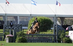 Dexter Warmblood Cross Hunter photo 2