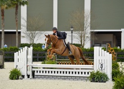 CMS Endeavor Oldenburg Hunter photo 2
