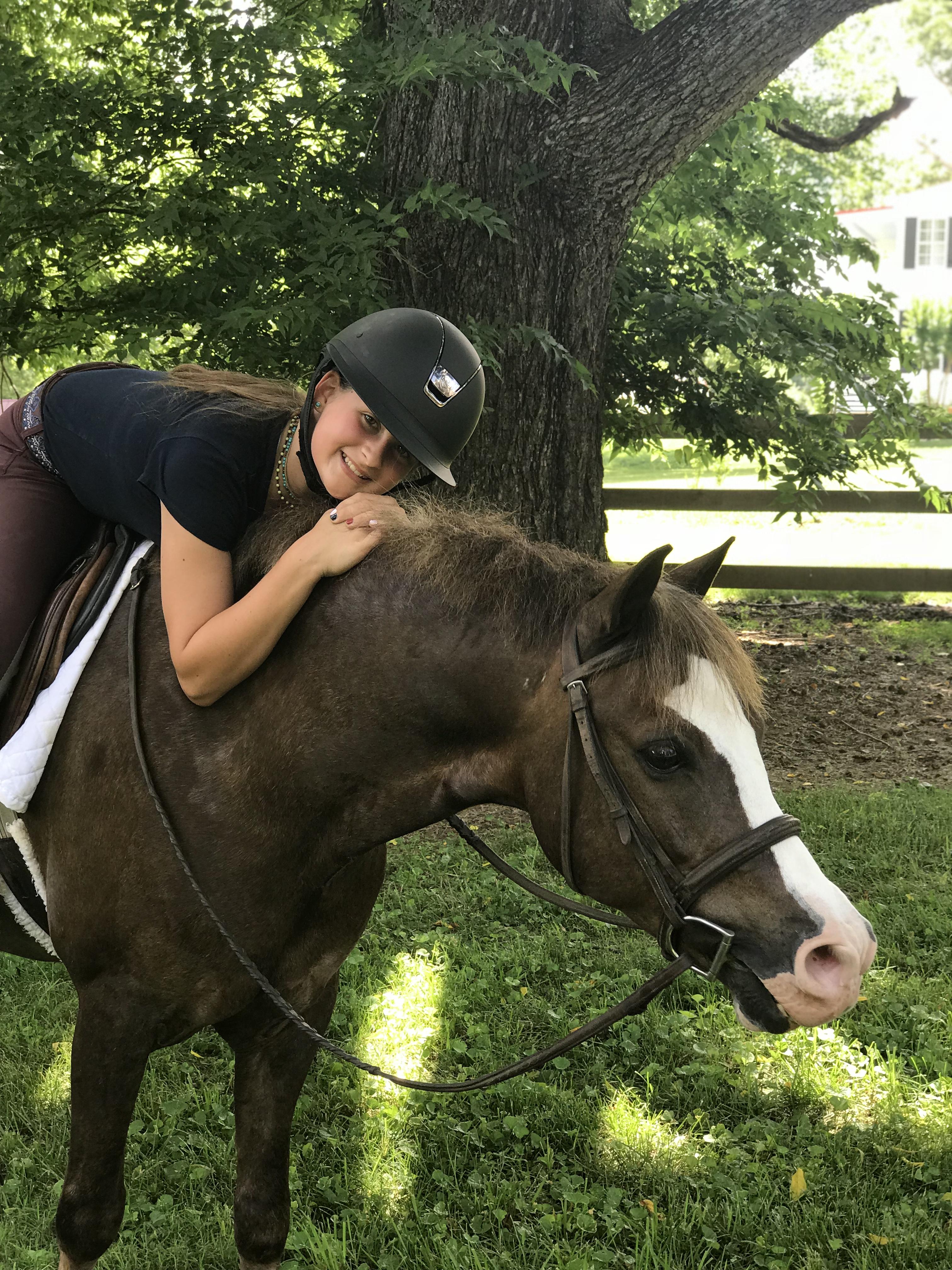 Farnley Crown Prince Welsh Pony Hunter