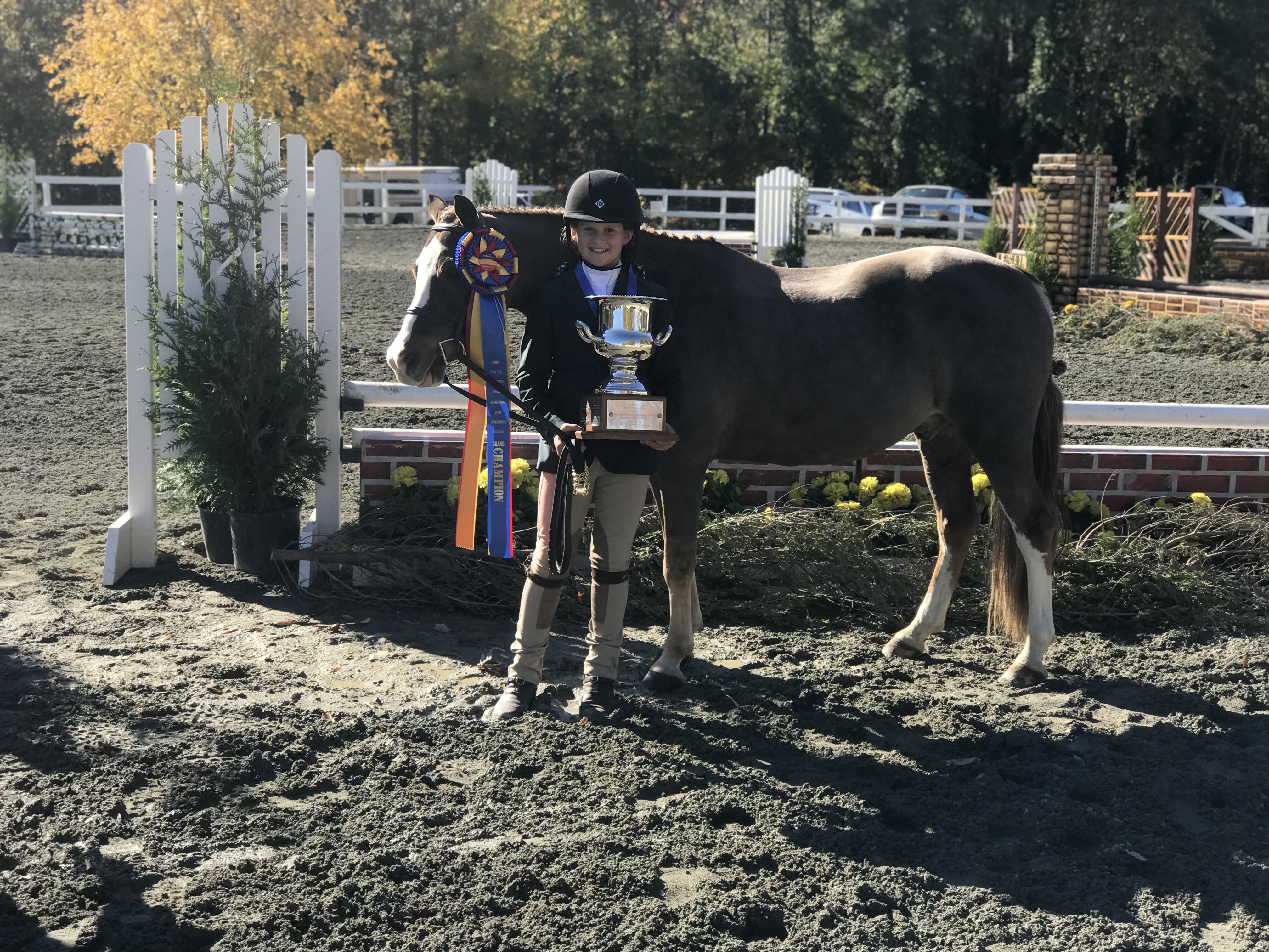 Farnley Crown Prince Welsh Pony Hunter